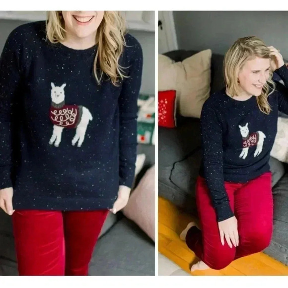 LOFT Women’s Navy Blue Llama Knit Long Sleeve Pullover Sweater Size XS - Picture 3 of 5